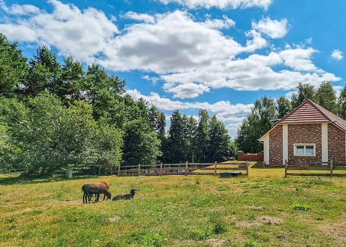 아파트 Pet Friendly